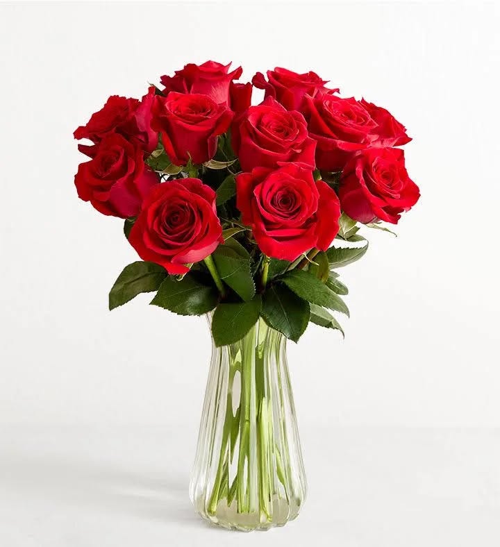 A dozen long-stem red roses arranged in a clear ribbed glass vase